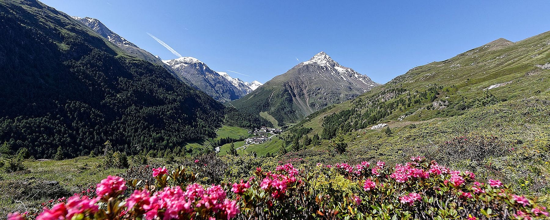 Mountain scenery